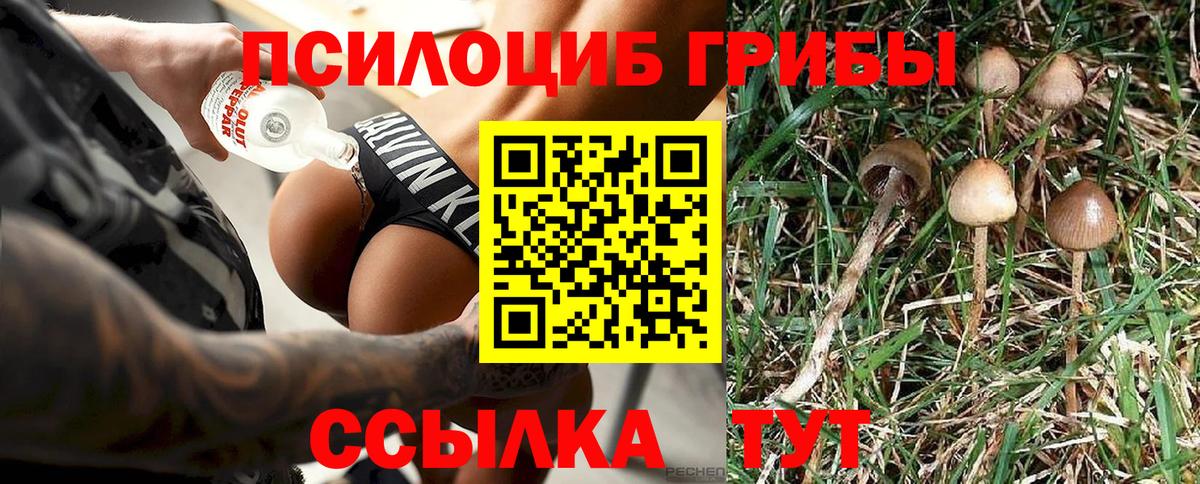 Галлюциногенные грибы ЛСД  Вход с VPN  Краснознаменск  Псилоцибиновые грибы Psilocybe 